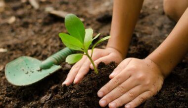 planting trees e1611573406254