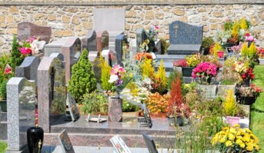 plants for graves e1614159457745