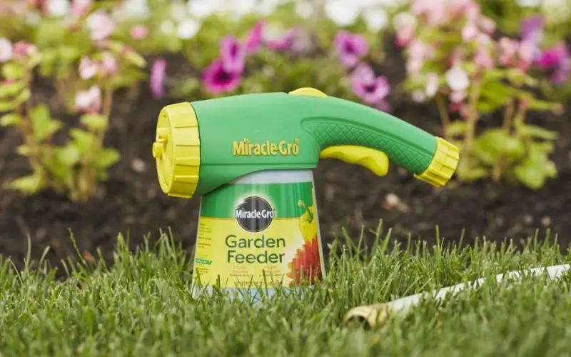 how much time for miracle gro to work