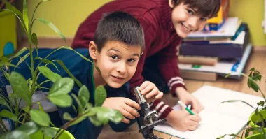 plant to grow in classroom e1653756026867